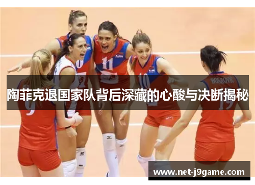 陶菲克退国家队背后深藏的心酸与决断揭秘