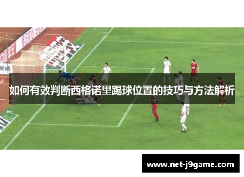 如何有效判断西格诺里踢球位置的技巧与方法解析