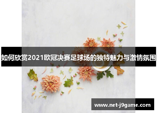 如何欣赏2021欧冠决赛足球场的独特魅力与激情氛围